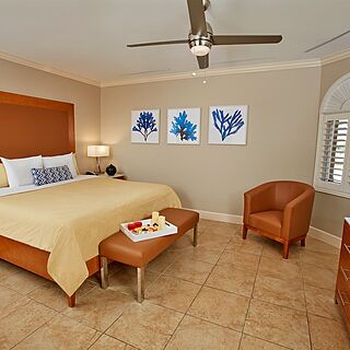 Divi Village Golf and Beach Resort — Sample 1-bedroom golf suite bathroom