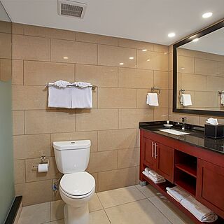 Divi Village Golf and Beach Resort &mdash; Sample 2-bedroom golf suite bathroom