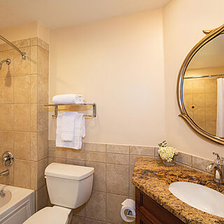 Sheraton Vistana Resort — Sample bathroom