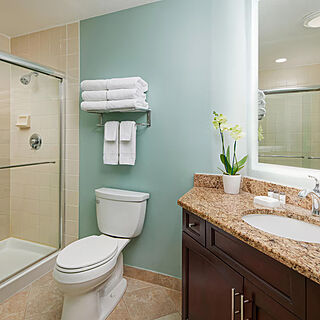 Sheraton Vistana Resort — Sample bathroom