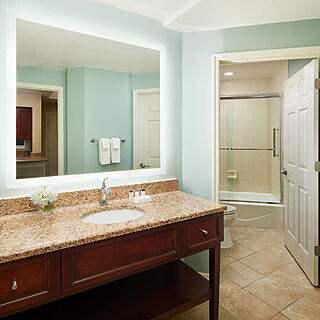 Sheraton Vistana Resort — Sample bathroom