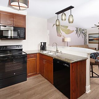 Tahiti Village — Sample kitchen