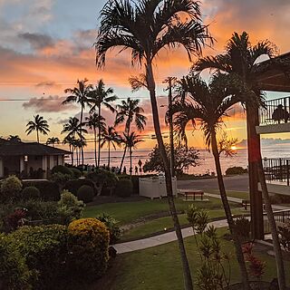 view from lanai