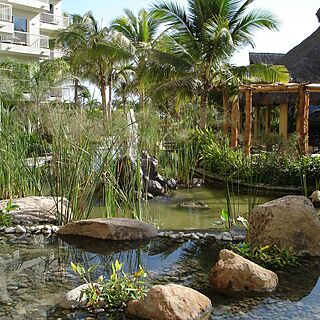 Krystal Grand Nuevo Vallarta — Grounds