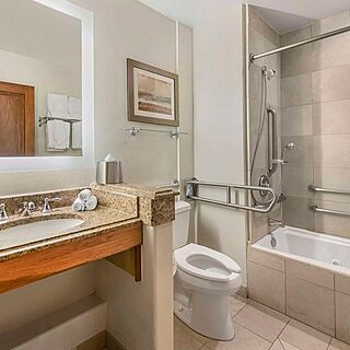 Valdoro Mountain Lodge, a Hilton Grand Vacations Club — Sample studio bathroom