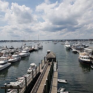 Harbor View