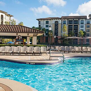 Sheraton Vistana Villages — Resort pool