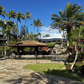 the main pool