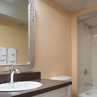 WorldMark Orlando Kingstown Reef — Sample villa bathroom
