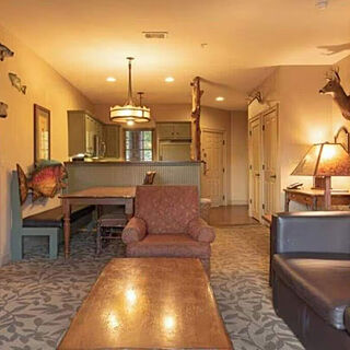 Big Cedar Wilderness Club &mdash; Sample living area