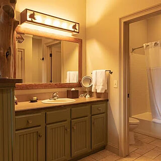 Big Cedar Wilderness Club &mdash; Sample bathroom