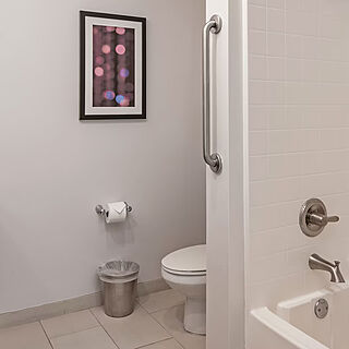 WorldMark Anaheim — Sample bathroom