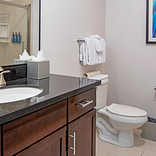 WorldMark Anaheim &mdash; Sample bathroom