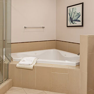 WorldMark Anaheim — Sample bathroom