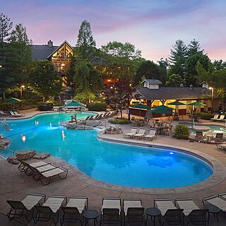 Marriott's Willow Ridge Lodge &mdash; Outdoor pool