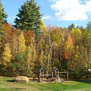 grounds