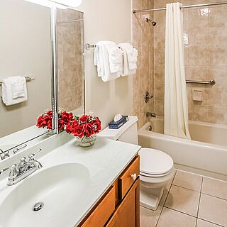 Brewster Green — Sample bathroom