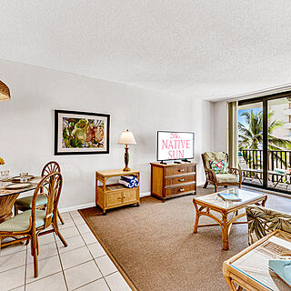 The Native Sun — Sample living room