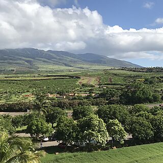 View from the Lanai