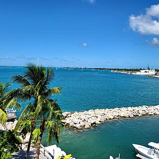 D51 views