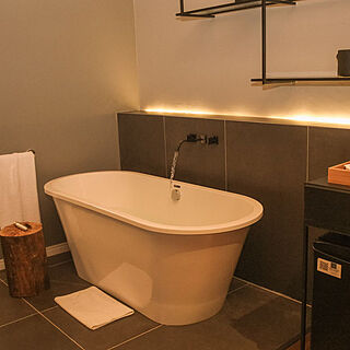 Jangal das Araucárias Swan Design Hotel — Sample bathroom