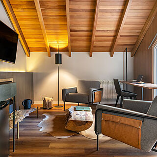 Jangal das Araucárias Swan Design Hotel — Sample studio living area