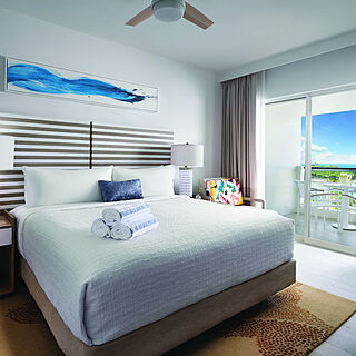 Hyatt Hacienda Del Mar — Sample bedroom