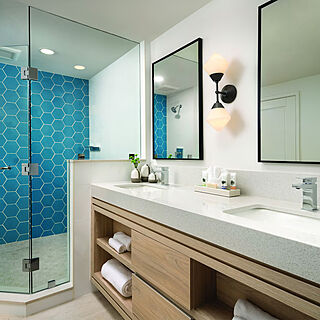 Hyatt Hacienda Del Mar — Sample bathroom