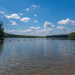 Amenity: Lake Susquehanna