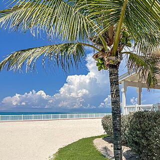 Westgate Bimini Bay — Grounds and beach