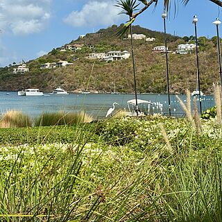 Resort View