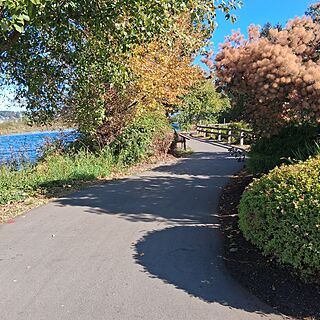 Riverway Heritage Walk right outside