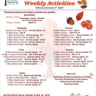 Planned Activities