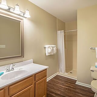 Eagle Trace at Massanutten — Sample bathroom