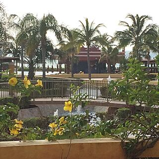 View from Patio