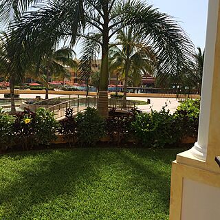Great Landscaping