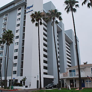 Capri and our office next door