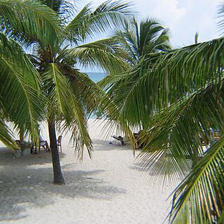 Simpson Bay Resort and Marina — Simpson Bay Resort & Marina
