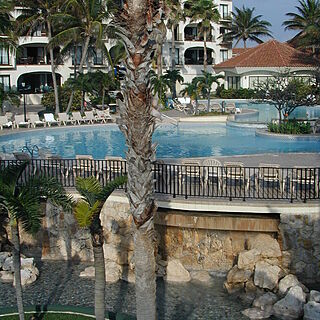 The Royal Mayan — - Pool