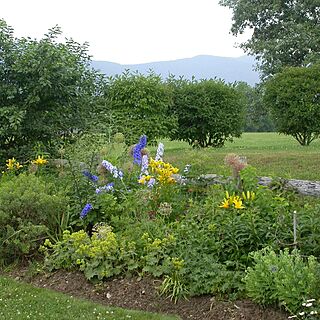 The Village Green at Stowe — Stowe Flowers