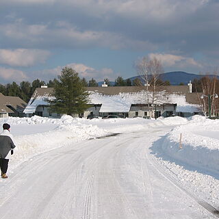 The Village Green at Stowe — Village Green in Jan.