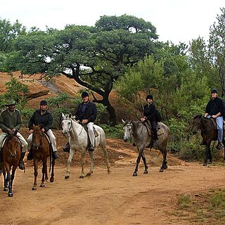 Mabula — Game viewing on horse back