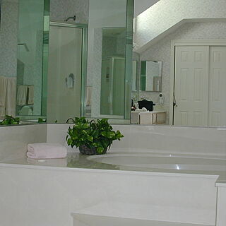 Ocean Palms Resort at Port Royal &mdash; - Unit Bathroom
